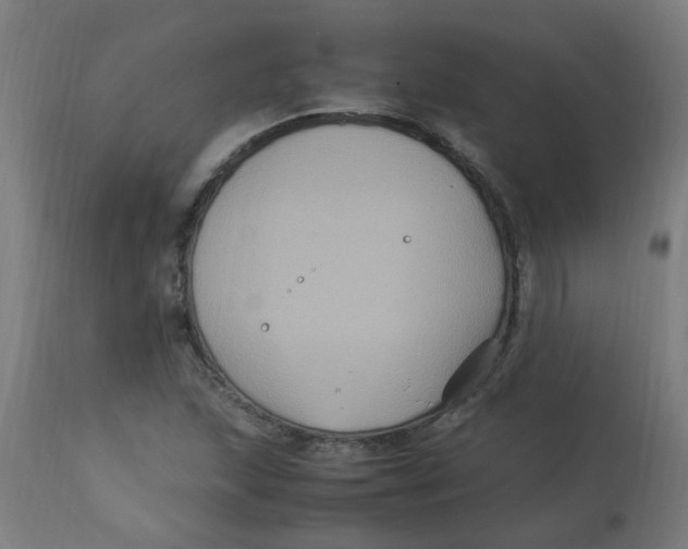 X0000113221215200910081333