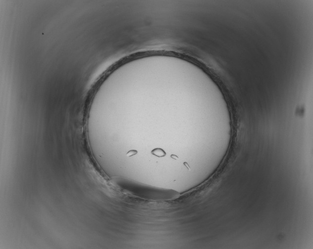 X0000113221216200910081333