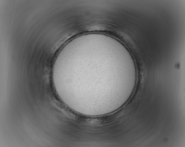 X0000113221217200910081333
