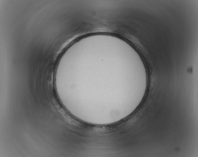 X0000113221220200910081333