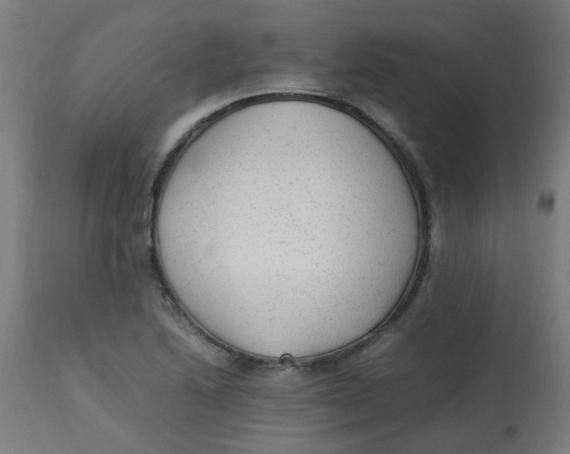 X0000113221222200910081333