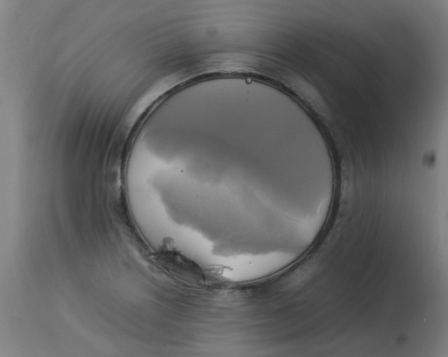 X0000113221226200910081333