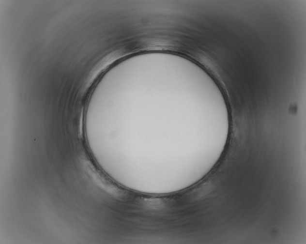 X0000113221227200910081333