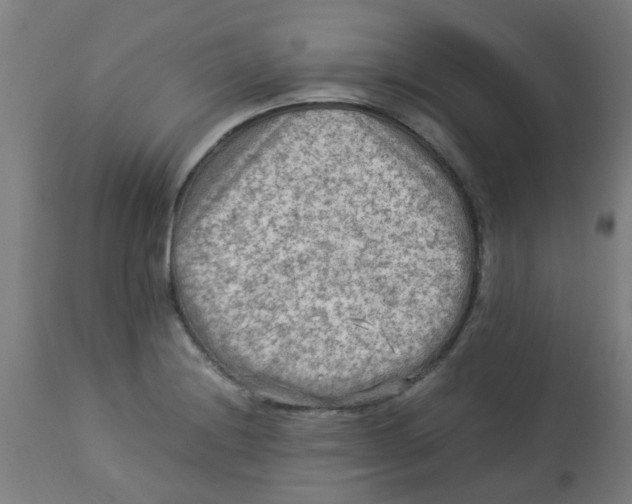 X0000113221228200910081333