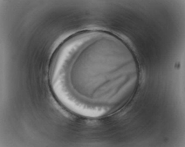 X0000113221231200910081333