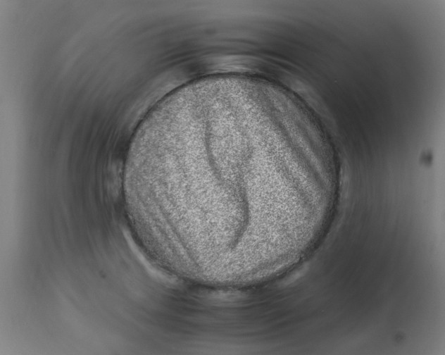 X0000113221233200910081333