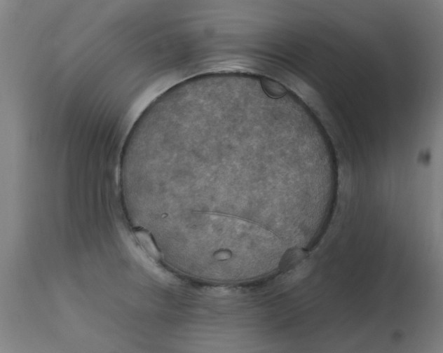 X0000113221234200910081333