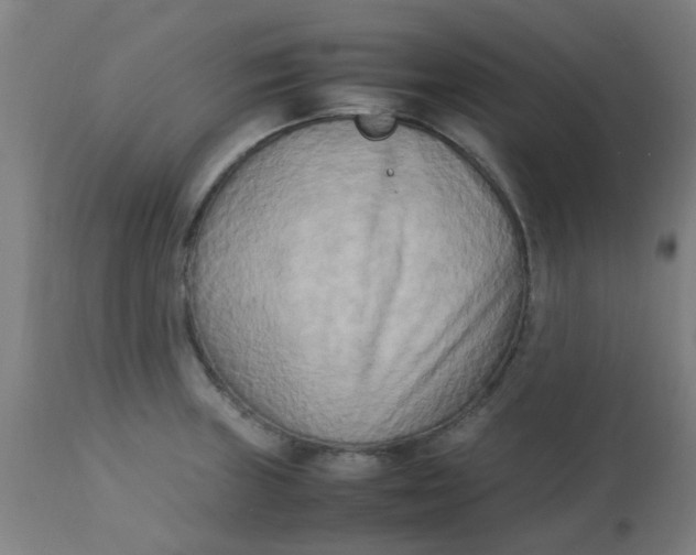 X0000113221235200910081333