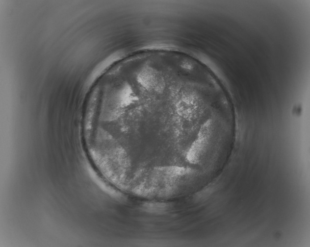 X0000113221237200910081333