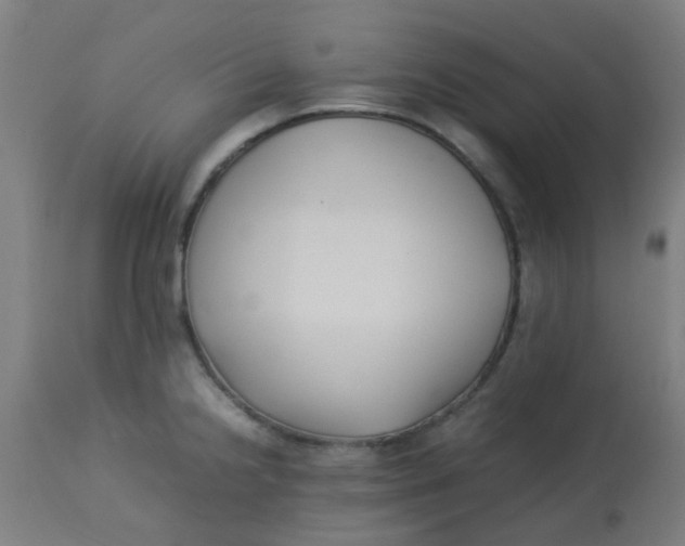 X0000113221238200910081333