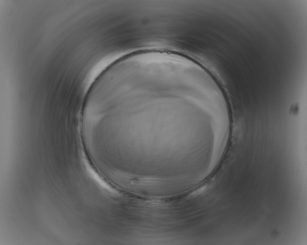 X0000113221239200910081333