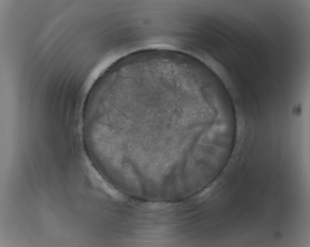 X0000113221240200910081333