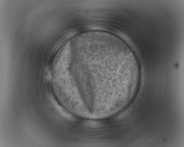 X0000113221241200910081333