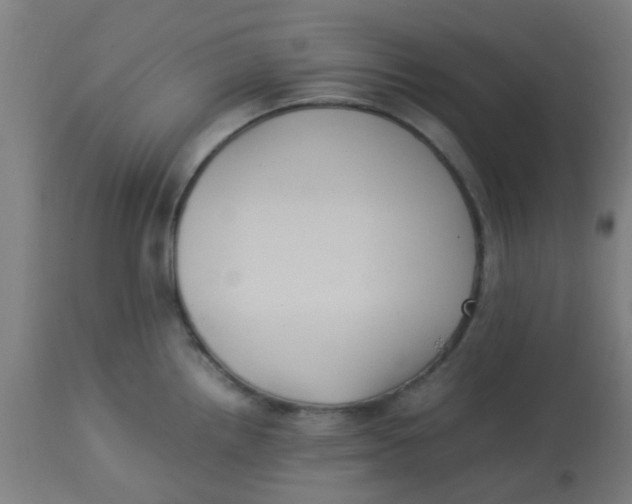 X0000113221242200910081333