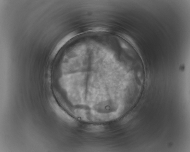 X0000113221243200910081333