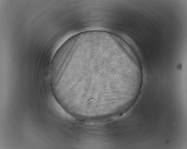 X0000113221244200910081333