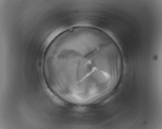 X0000113221245200910081333