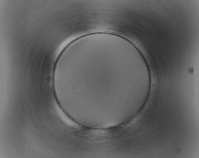 X0000113221246200910081333