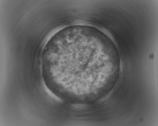 X0000113221247200910081333