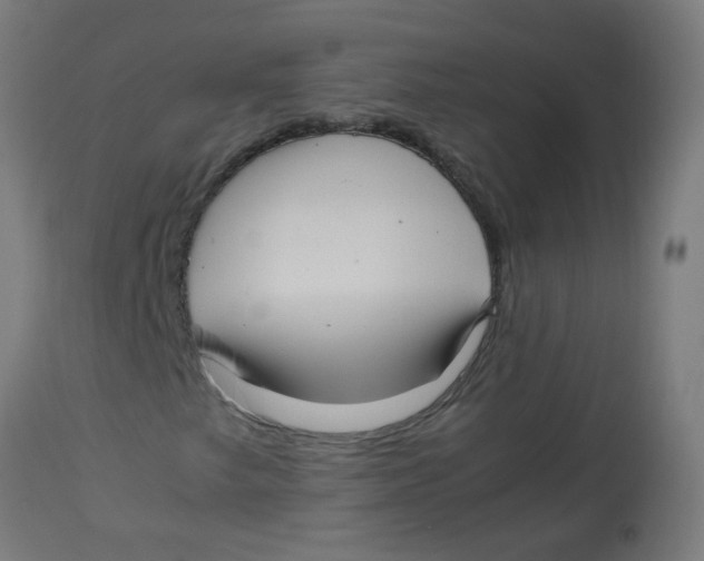 X0000113221249200910081332