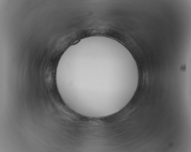 X0000113221250200910081332