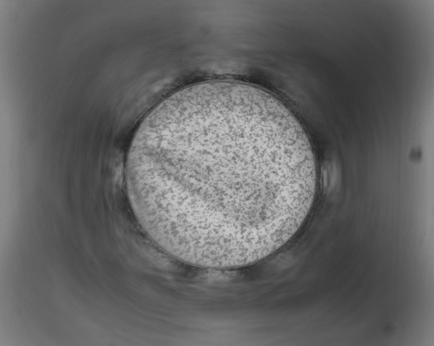 X0000113221251200910081332