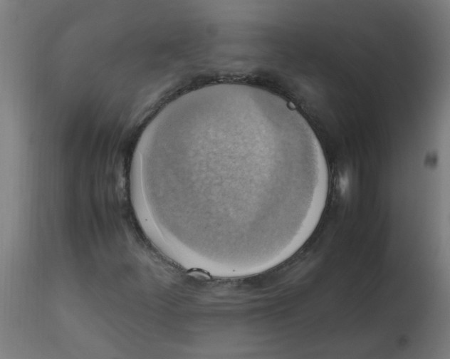 X0000113221252200910081332