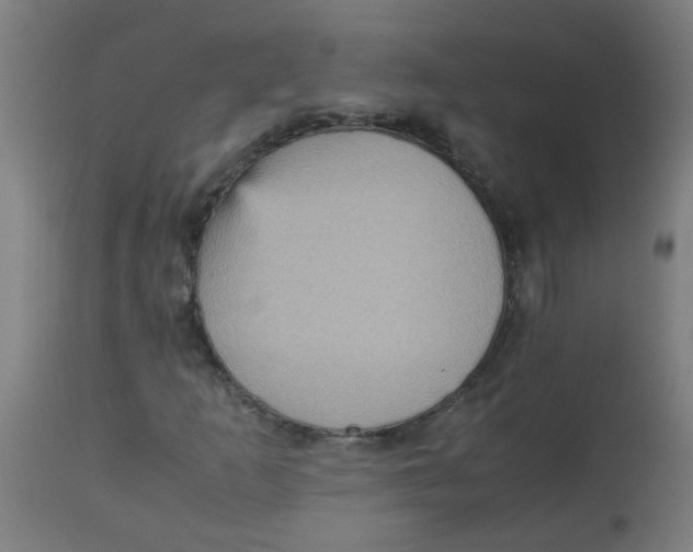 X0000113221253200910081332
