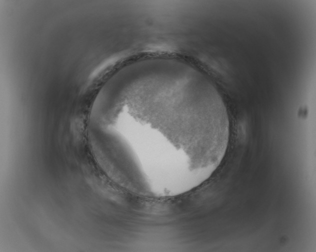 X0000113221254200910081332