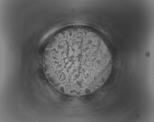 X0000113221255200910081332