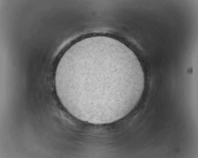 X0000113221256200910081332