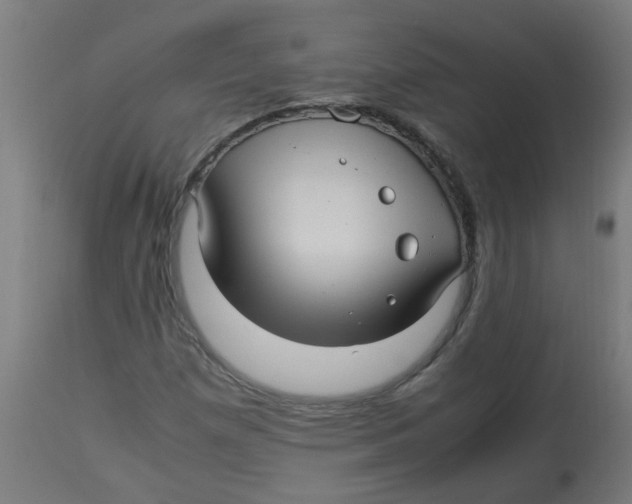 X0000113221257200910081332
