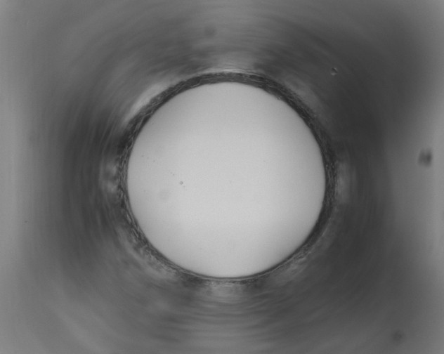 X0000113221258200910081332