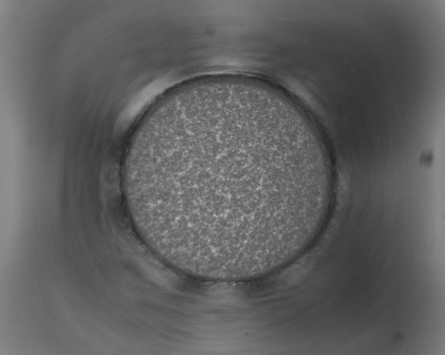 X0000113221259200910081332