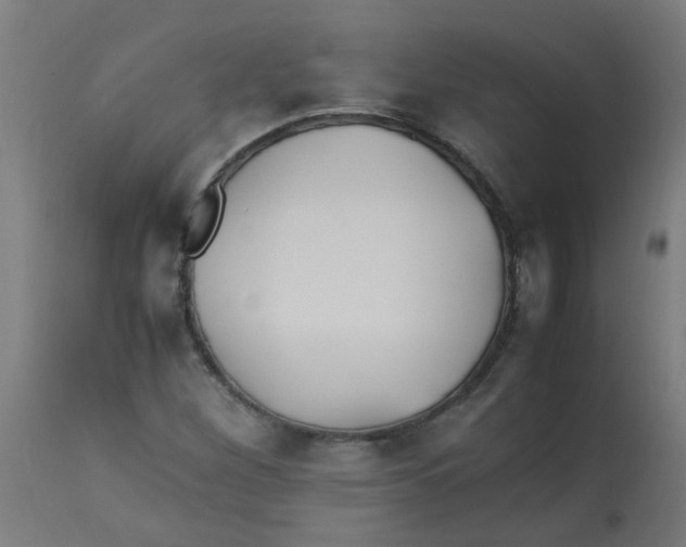 X0000113221260200910081332