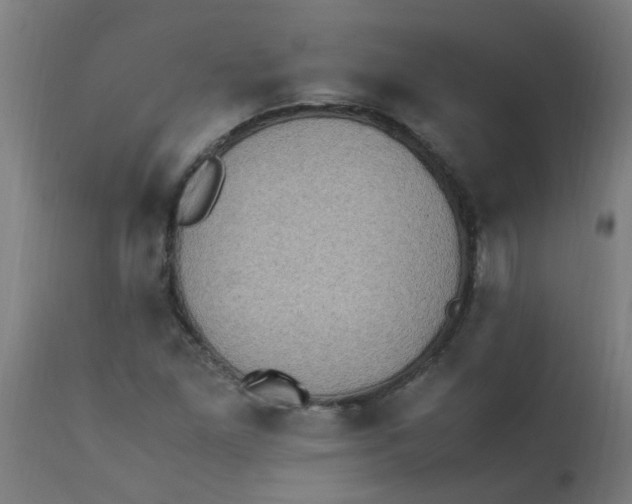 X0000113221261200910081332