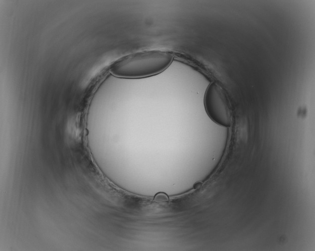 X0000113221262200910081332