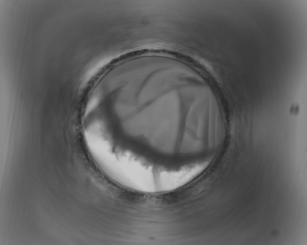 X0000113221263200910081332
