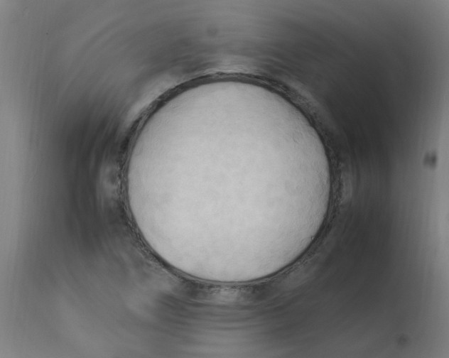 X0000113221266200910081332