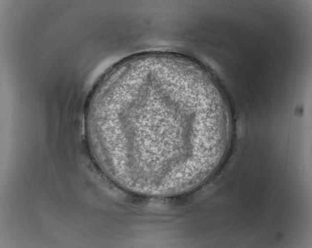 X0000113221267200910081332