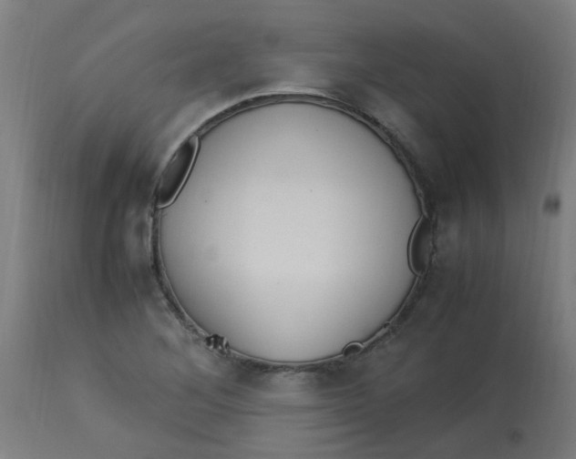 X0000113221268200910081332