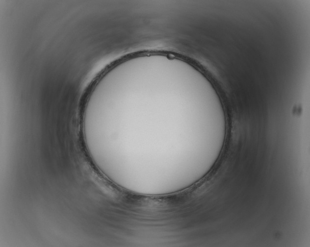 X0000113221270200910081332