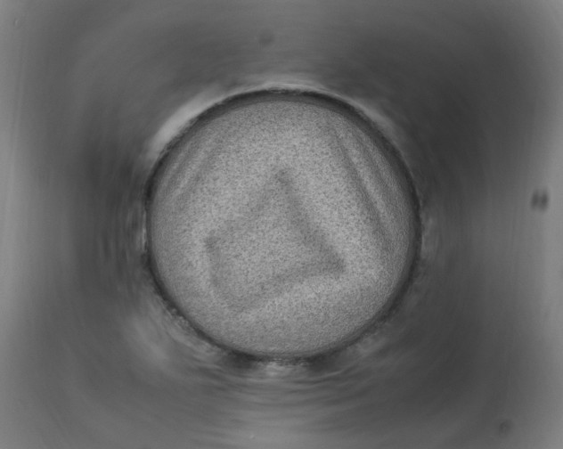 X0000113221271200910081332
