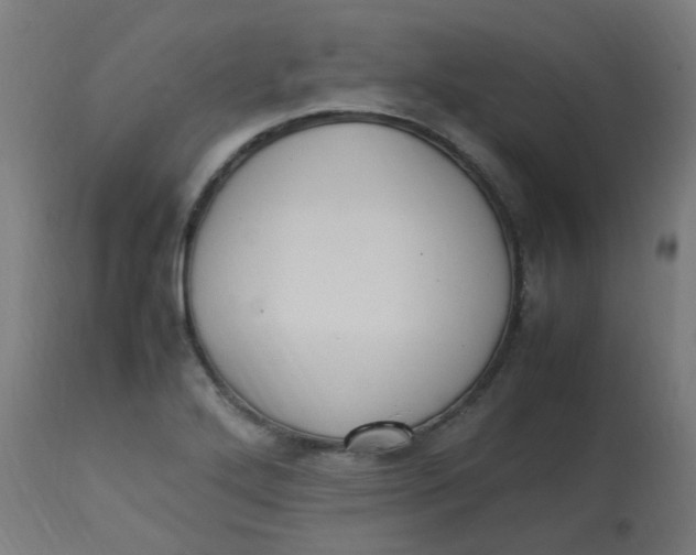 X0000113221272200910081332
