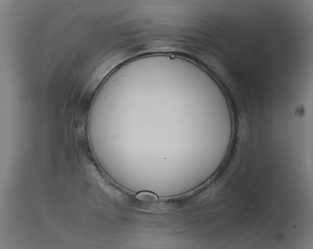 X0000113221273200910081332