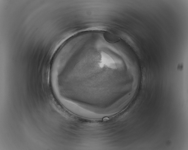 X0000113221276200910081332