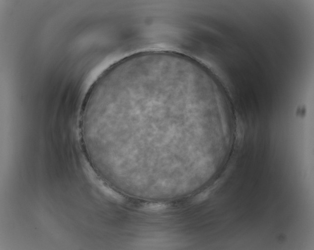 X0000113221278200910081332