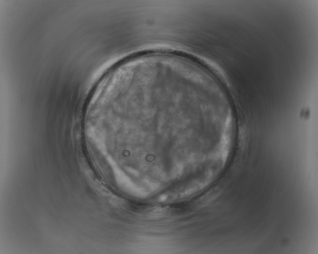 X0000113221279200910081332