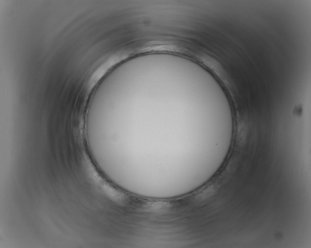 X0000113221282200910081332
