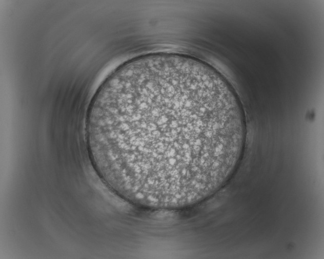 X0000113221283200910081332